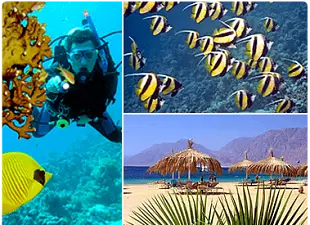 RED SEA