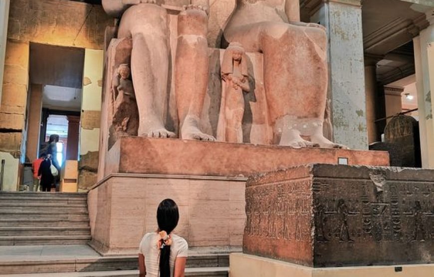 Private Day Trip to Abu Simbel Temple with Guide from Luxor