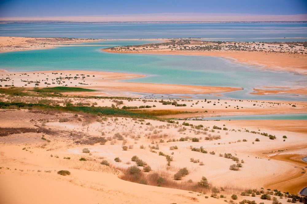 Excursion to the Fayoum Oasis